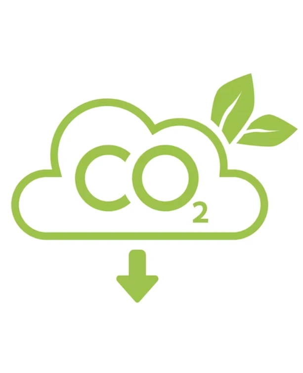 Marginal Abatement Cost Curve