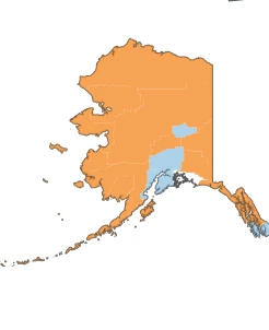 Insurer Participation